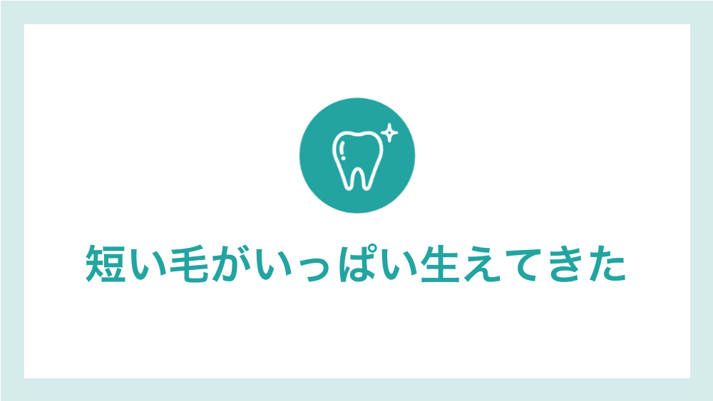 短い毛がいっぱい生えてきた